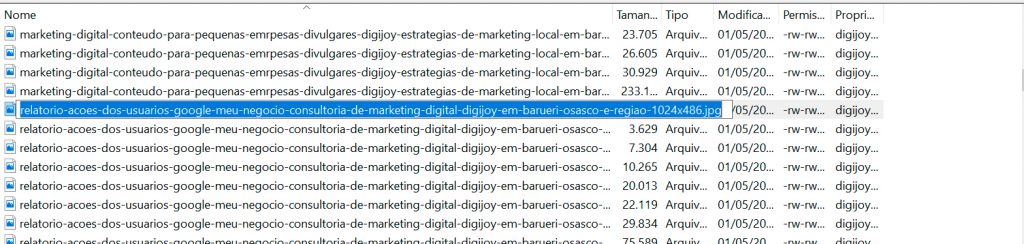 Exemplo de arquivos renomeados para a seguinte estrutura: descrição da imagem, especialidade do negócio e localização - Digijoy consultoria de marketing local